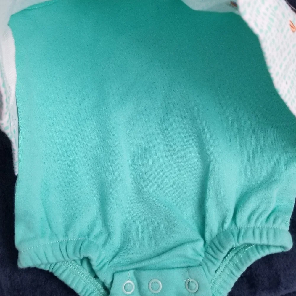 Small Wonders, Gerber, Healthtex Baby Onesies Bundle